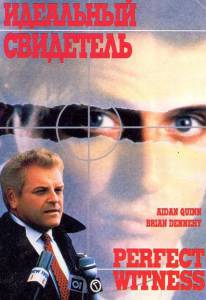       () Perfect Witness / (1989)